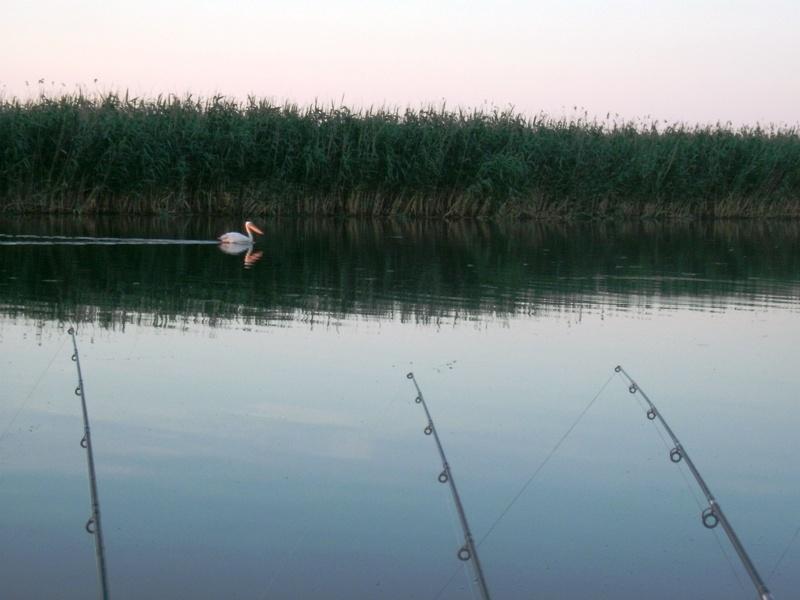 Delta iunie 2013 - gedc0280.JPG